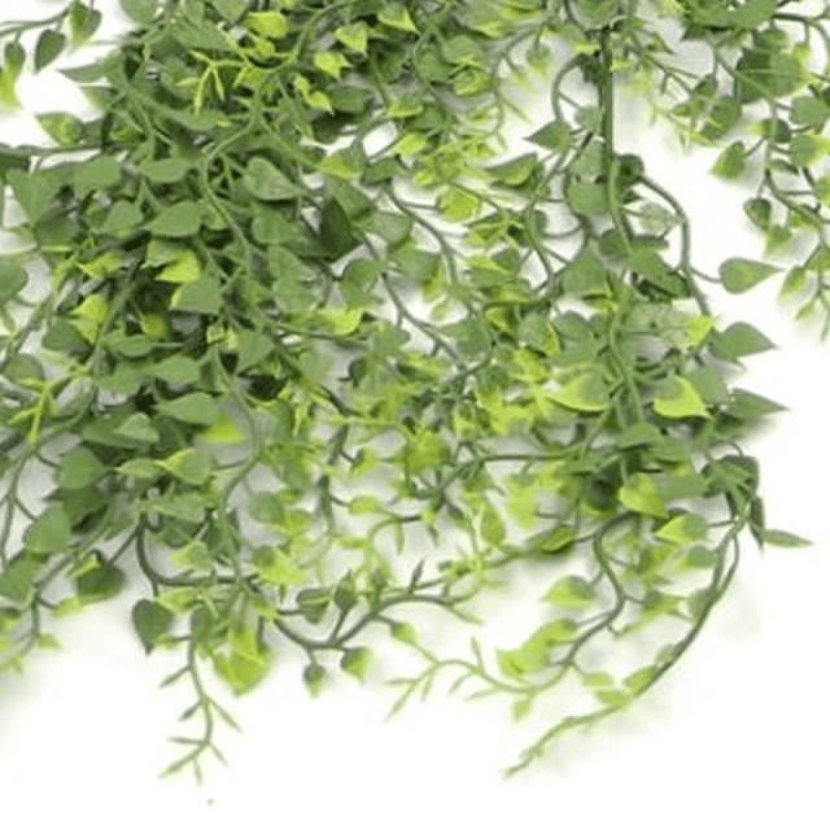 6 - Pack UV & Fire - Resistant 82cm Hanging Artificial Button Ferns - Lush Greenery! - plants - express.com