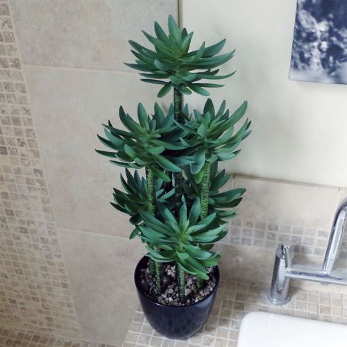 60cm Lifelike Artificial Yukka Palm in Stylish Decorative Planter - plants - express.com