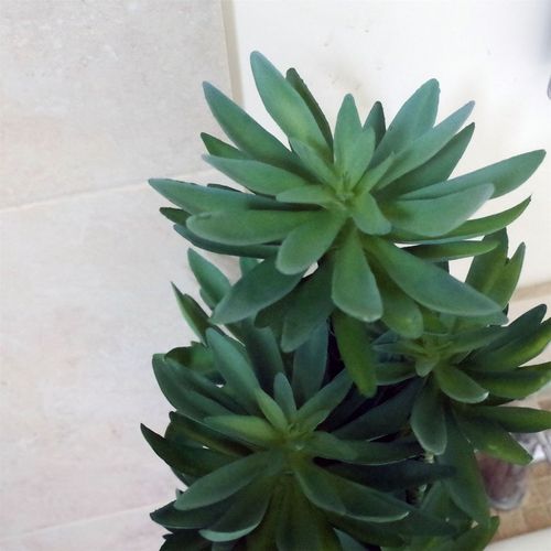 60cm Lifelike Artificial Yukka Palm in Stylish Decorative Planter - plants - express.com