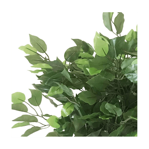 60cm Lifelike Ficus Tree - Stunning Artificial Plant for Any Space - plants - express.com