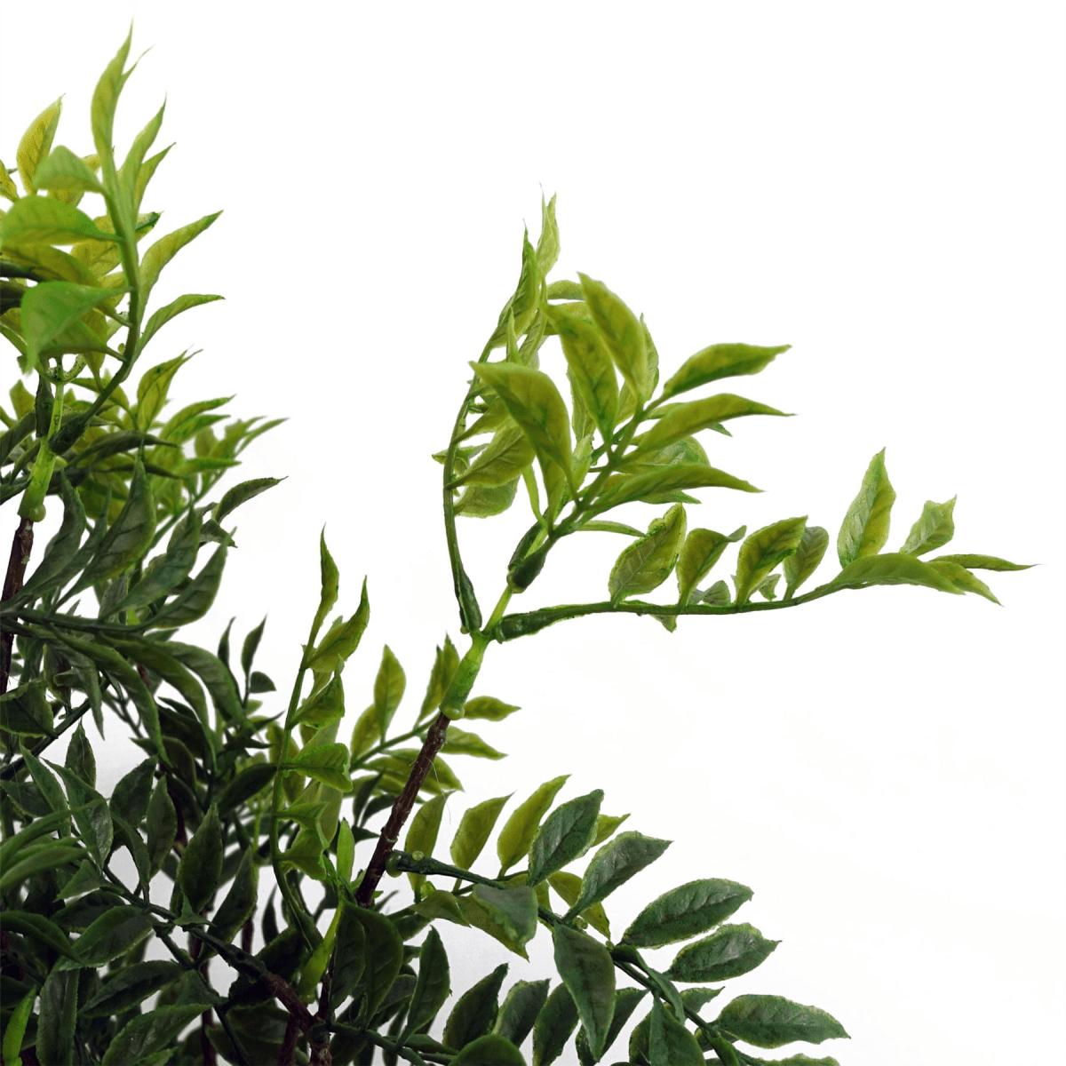 60cm Lifelike Nandina Bonsai Tree – Elegant Indoor Décor with Adjustable Branches - plants - express.com
