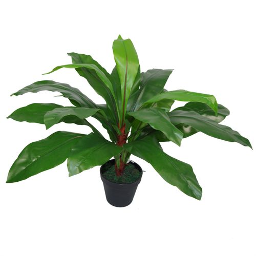 60cm Lush Artificial Bird's Nest Fern - Premium Tropical Décor - plants - express.com