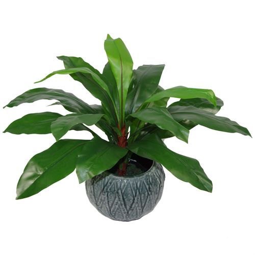 60cm Lush Artificial Bird's Nest Fern - Premium Tropical Décor - plants - express.com