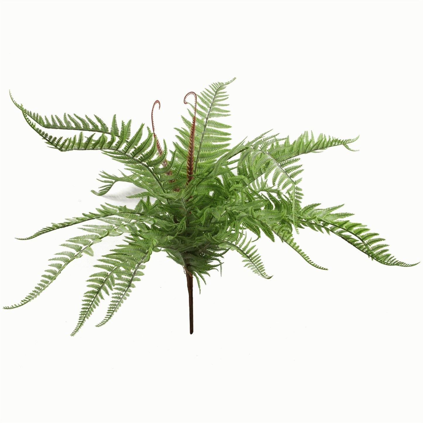 60cm Lush Artificial Dixie Wood Fern - Perfect for Low Maintenance Decor - plants - express.com