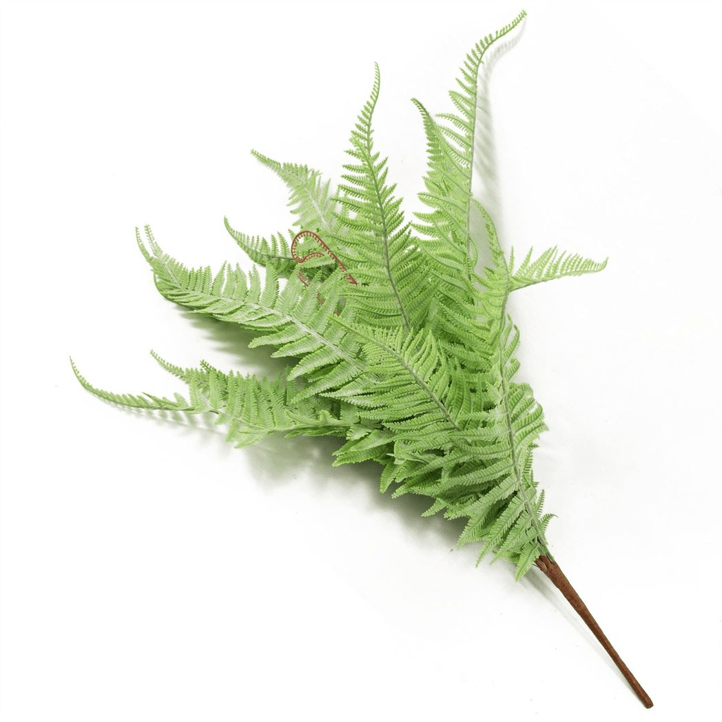 60cm Lush Artificial Dixie Wood Fern - Perfect for Low Maintenance Decor - plants - express.com