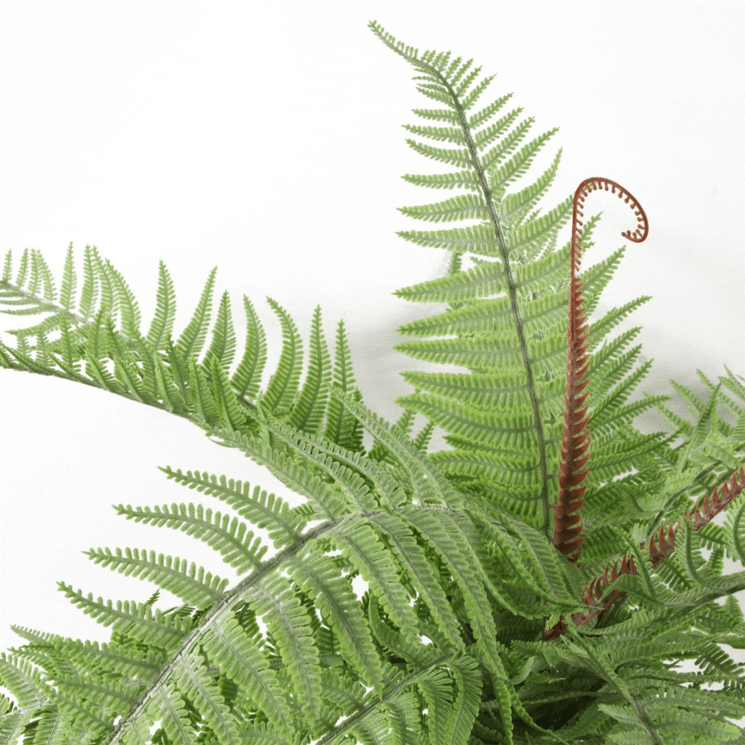 60cm Lush Artificial Dixie Wood Fern - Perfect for Low Maintenance Decor - plants - express.com