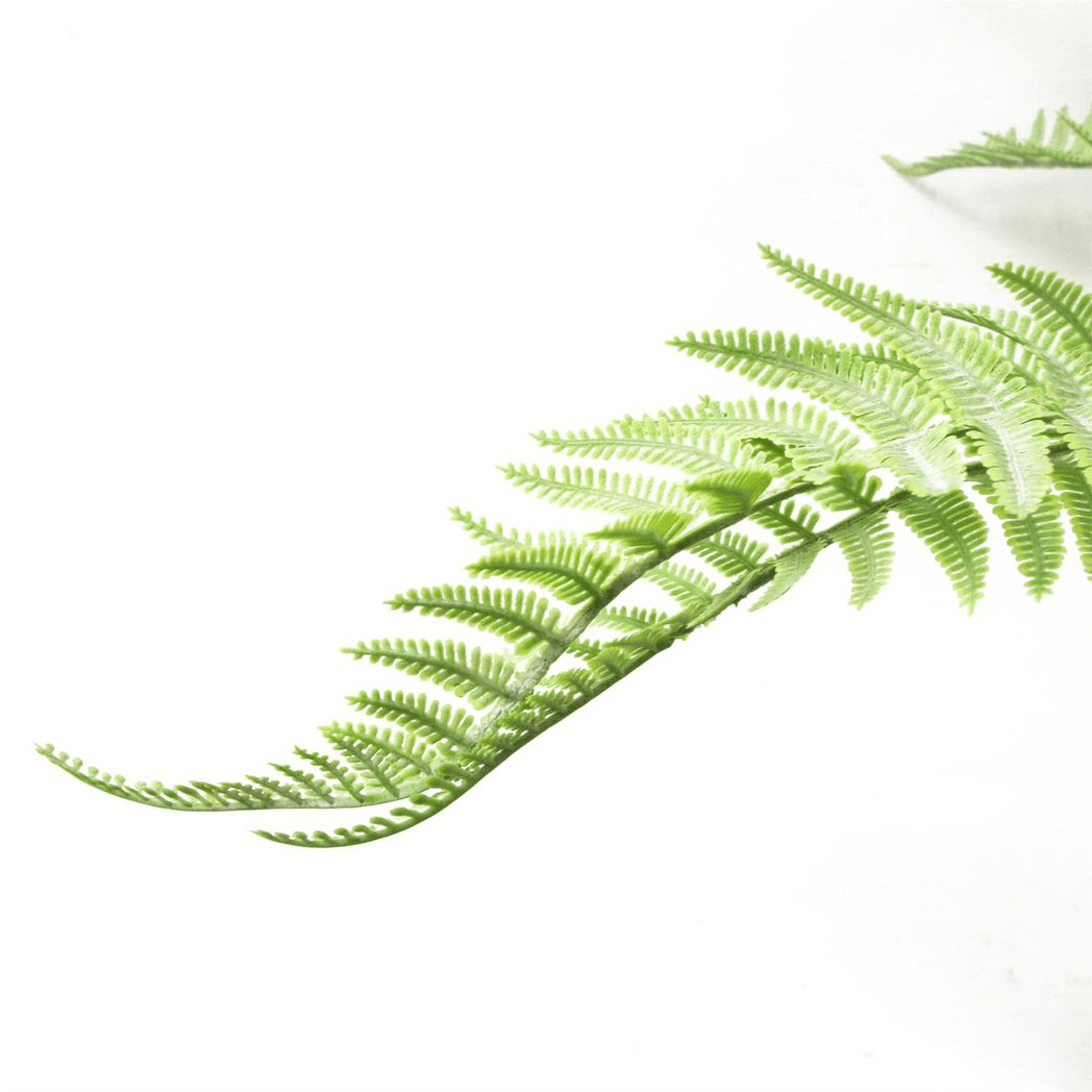 60cm Lush Artificial Dixie Wood Fern - Perfect for Low Maintenance Decor - plants - express.com