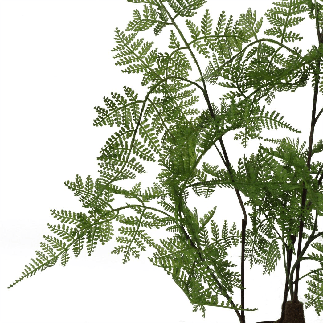 60cm Lush Natural Moss Fern - Realistic Artificial Foliage for Home Decor - plants - express.com