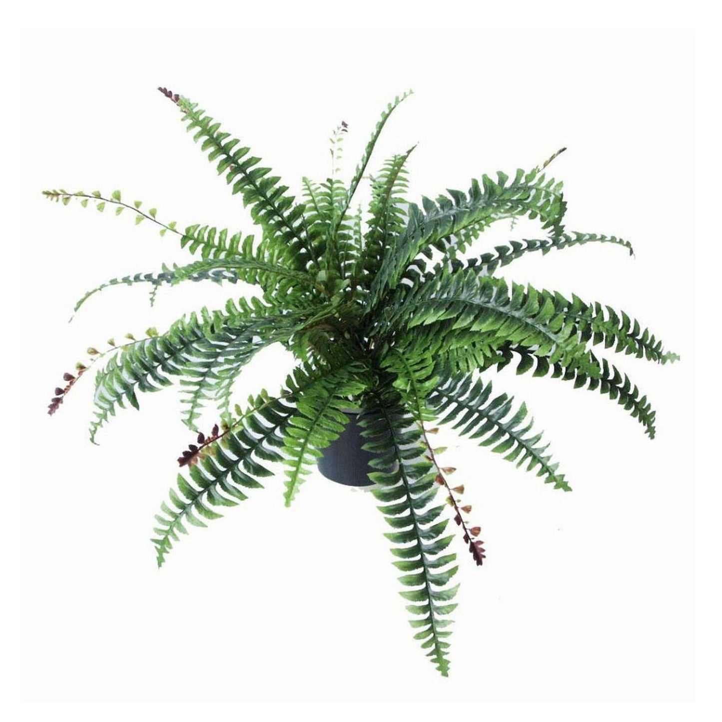 60cm Realistic Leaf Design Faux Foliage Plant - Fully Potted Elegance - plants - express.com