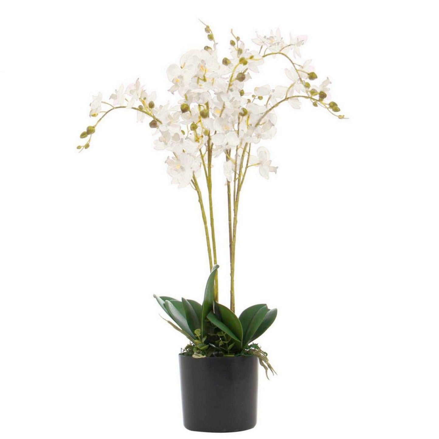60cm Realistic Phalaenopsis Orchid - Lifelike Potted Artificial Flower Display - plants - express.com
