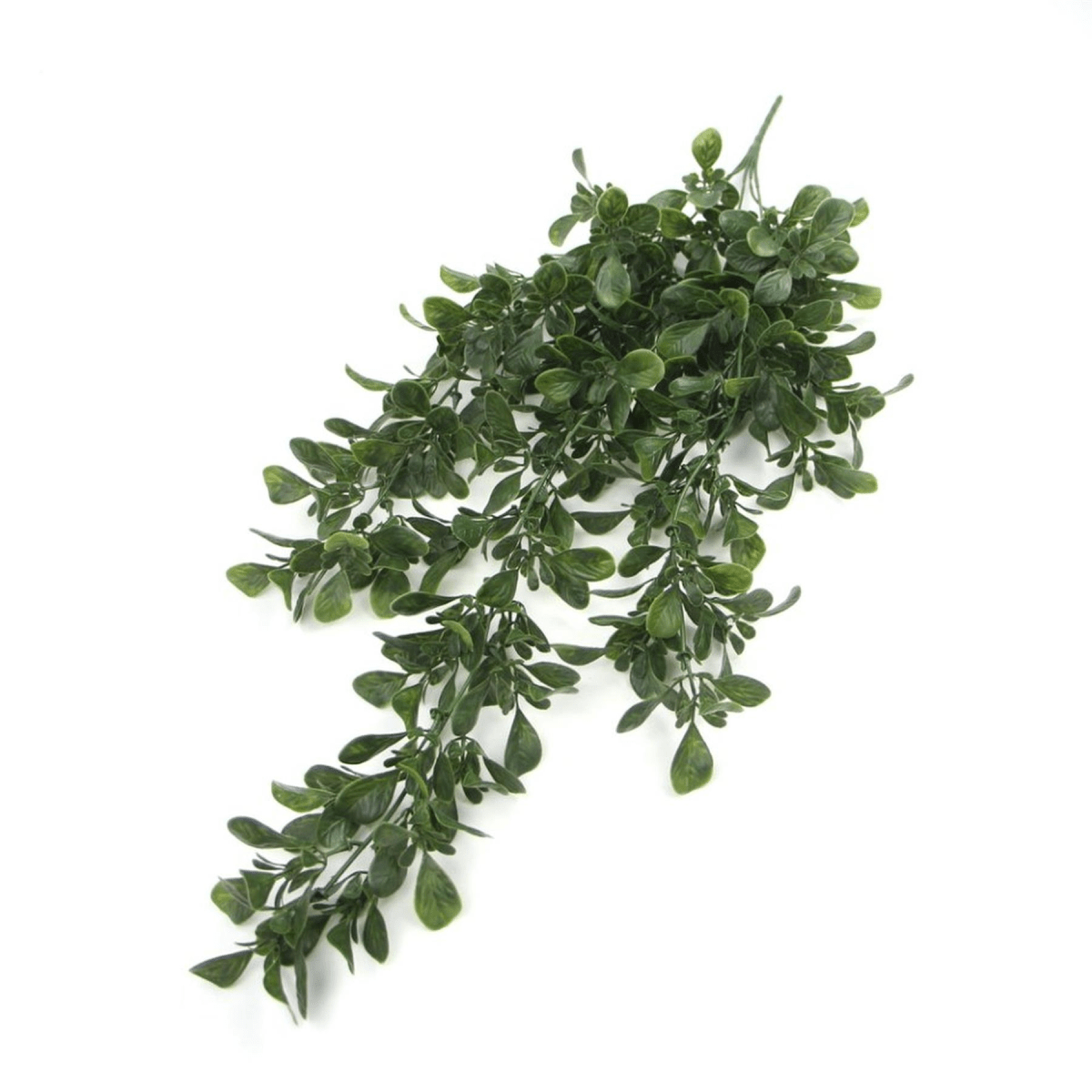 68cm UV & Fire Resistant Hanging Artificial Peperomia - Effortless Elegance! - plants - express.com