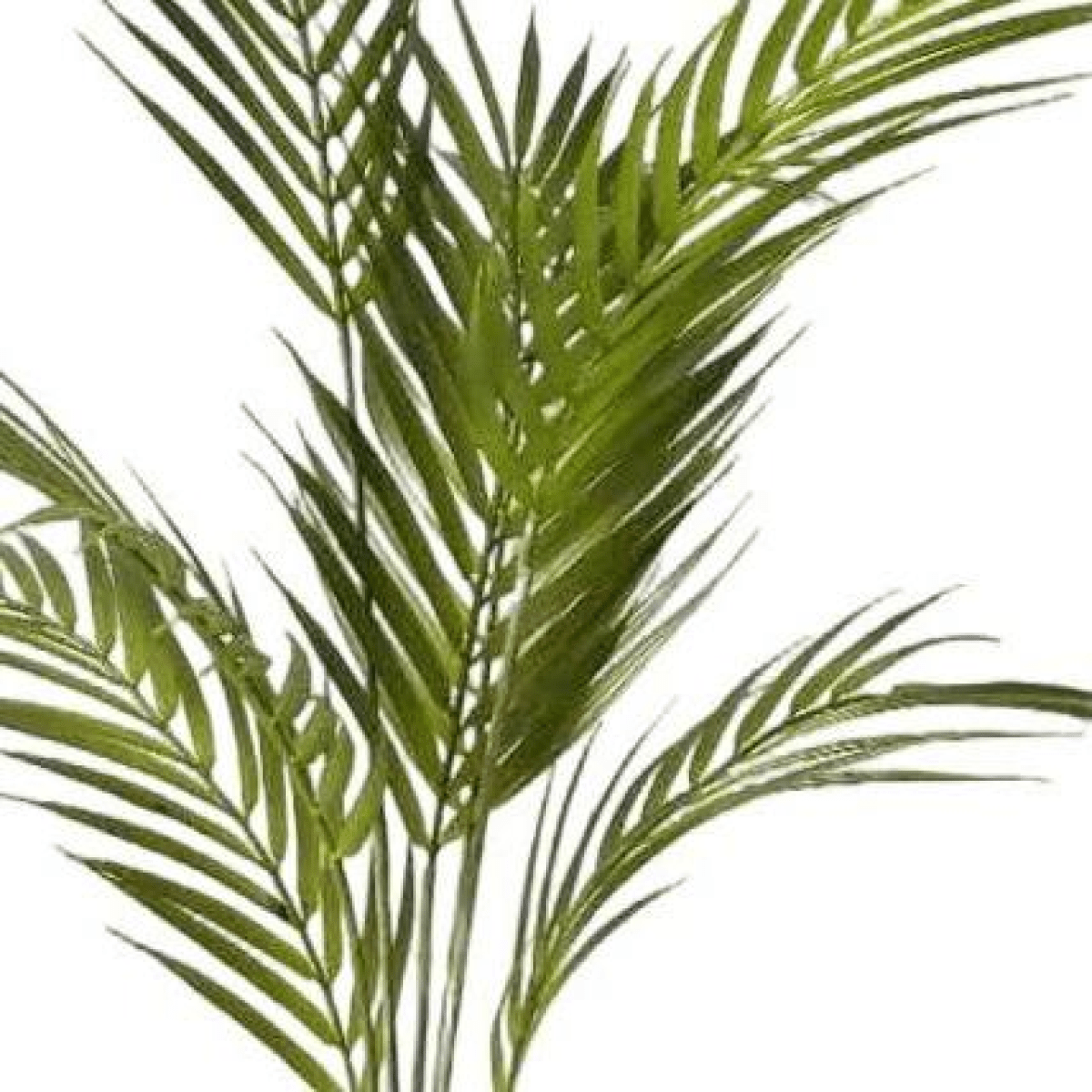 70cm Lush Artificial Areca Palm Tree – Effortless Tropical Elegance - plants - express.com