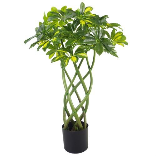 70cm Twisted Stem Gold Capella Bonsai Plant - Artfully Realistic Greenery - plants - express.com