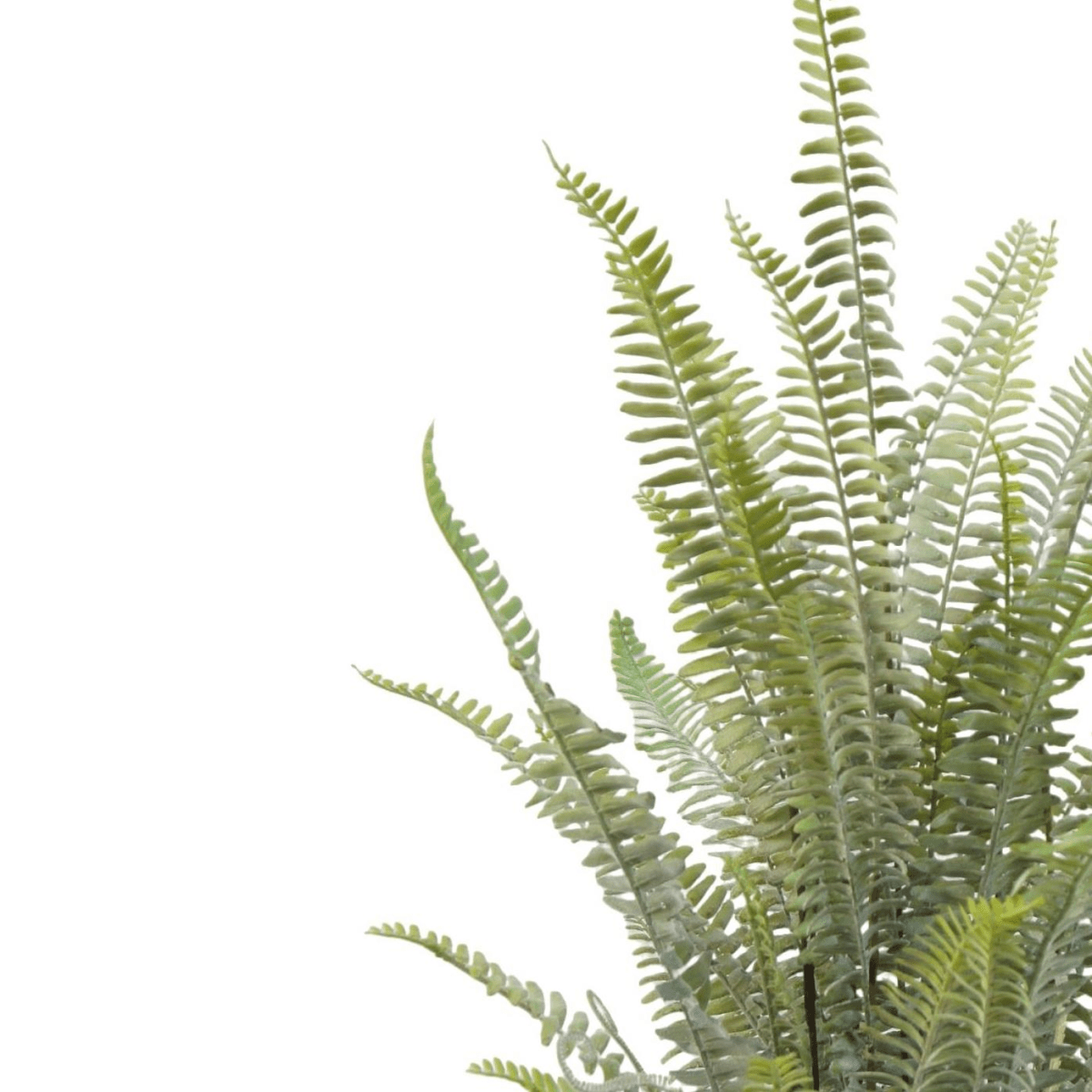 74cm Lush Artificial Fern Plant - Maintenance - Free Greenery for Any Space! - plants - express.com