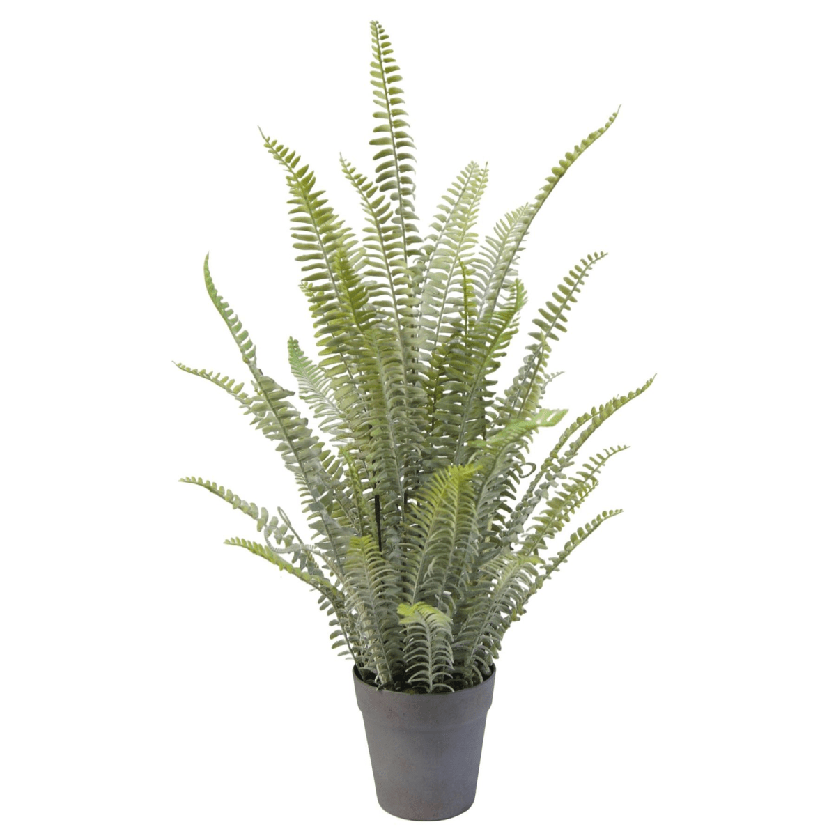 74cm Lush Artificial Fern Plant - Maintenance - Free Greenery for Any Space! - plants - express.com