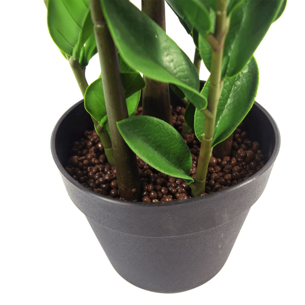 75cm Artificial Zanzibar Green Gem Zamioculcas Succulent Indoor Plant - plants - express.com