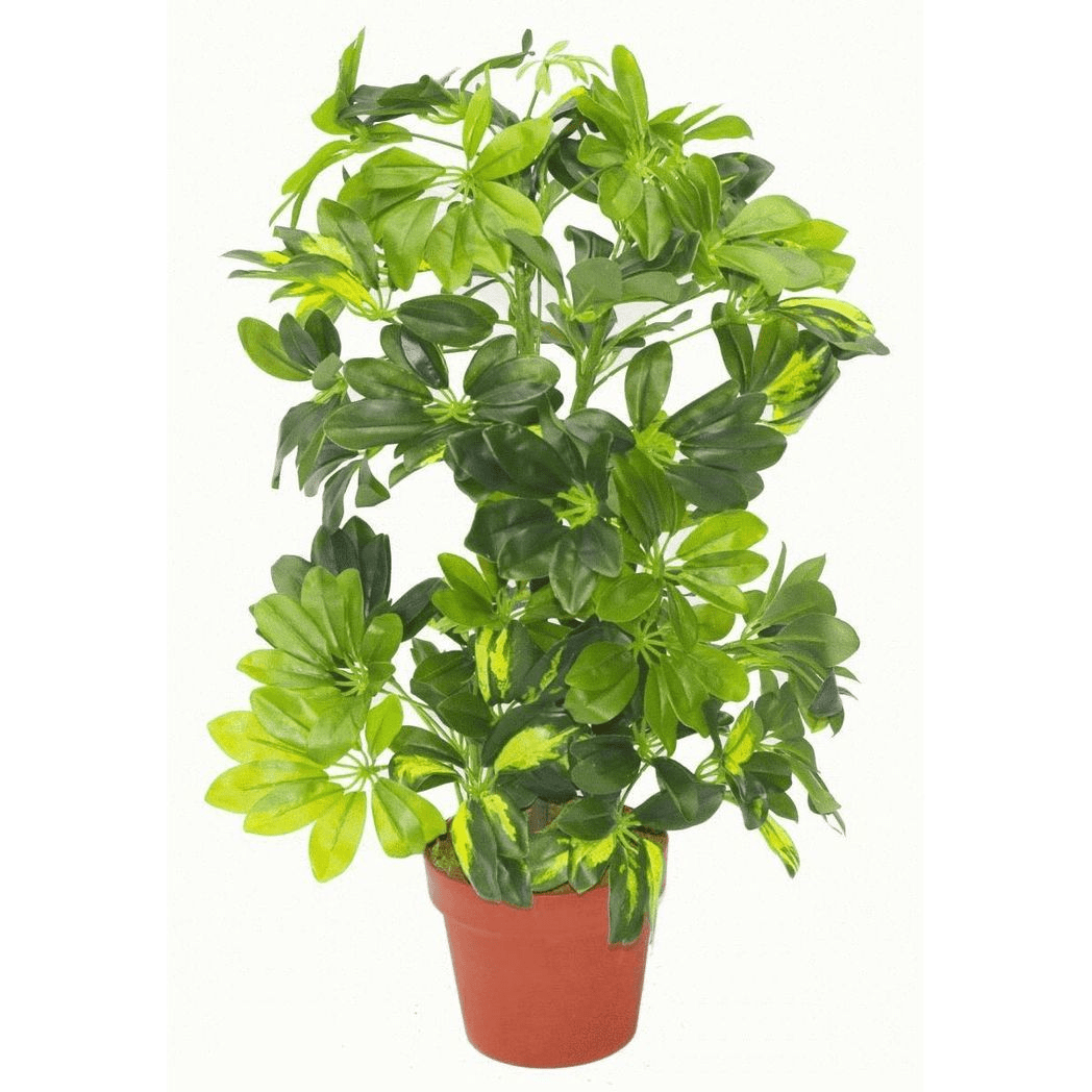 75cm Lifelike Gold Capella Plant in Sleek Silver Metal Planter - Stunning Decor - plants - express.com