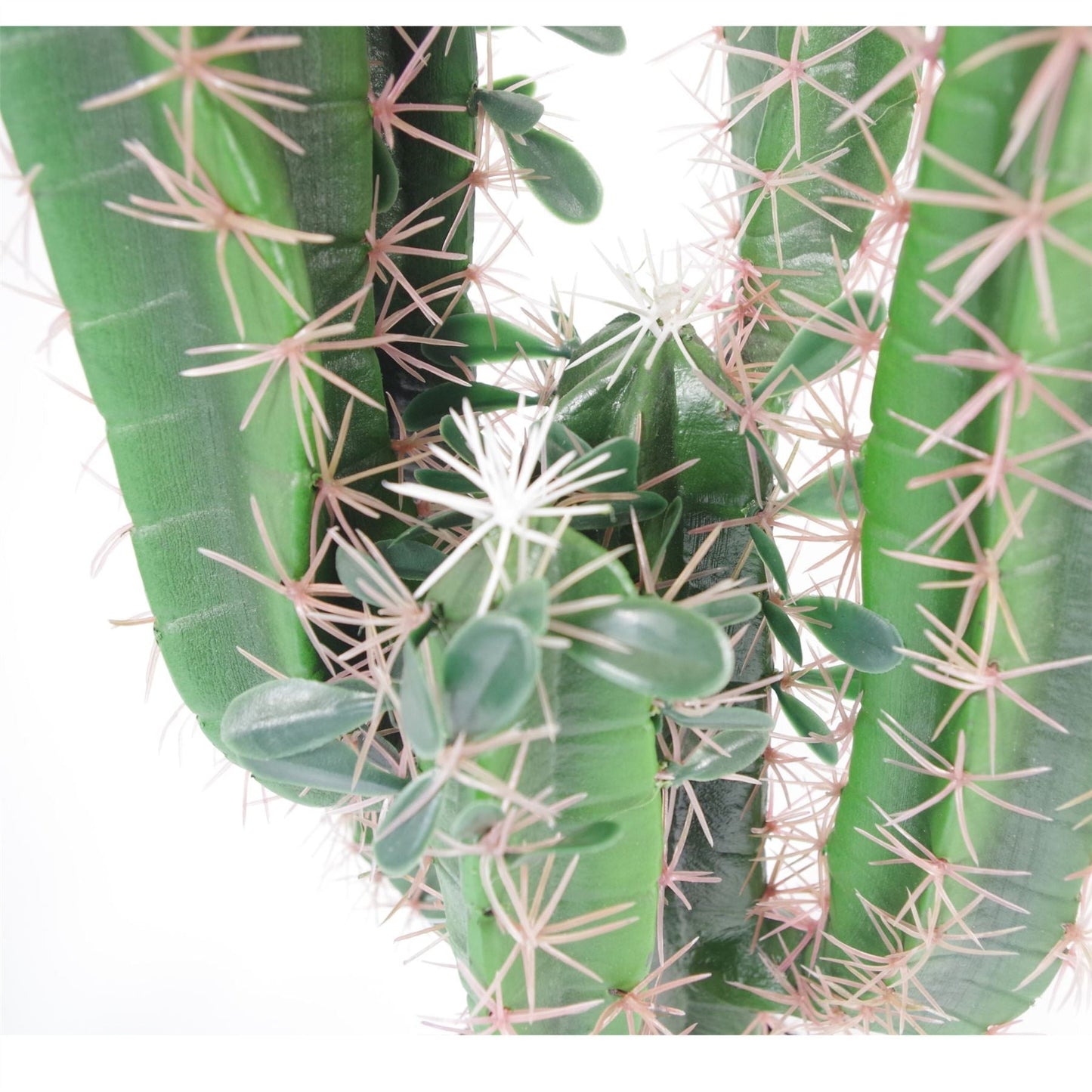 75cm Lush Premium Artificial Cactus in Stylish Weighted Pot – Perfect Décor! - plants - express.com