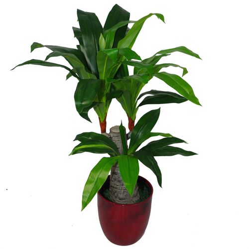 75cm Lush Triple - Branch Artificial Dracaena Plant - Perfect for Any Space! - plants - express.com