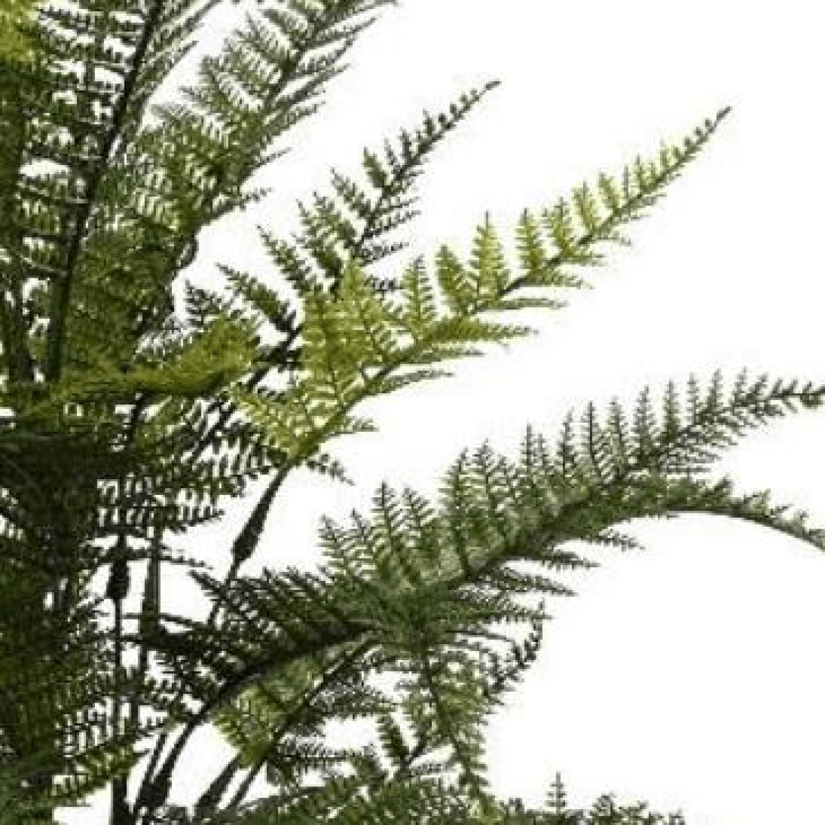 78cm Fire - Resistant Artificial Fern - Lush Greenery for Any Space - plants - express.com