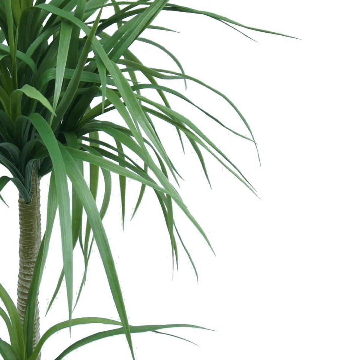 90cm Lifelike Artificial Dracaena Plant - Effortless Greenery for Any Space - plants - express.com