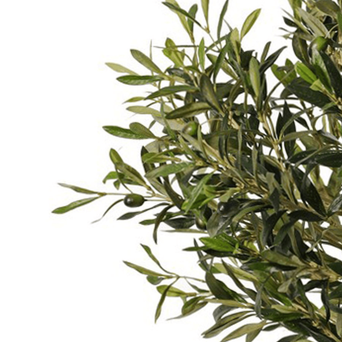 90cm Lifelike Olive Tree: Elegant, Low - Maintenance Greenery for Any Space - plants - express.com