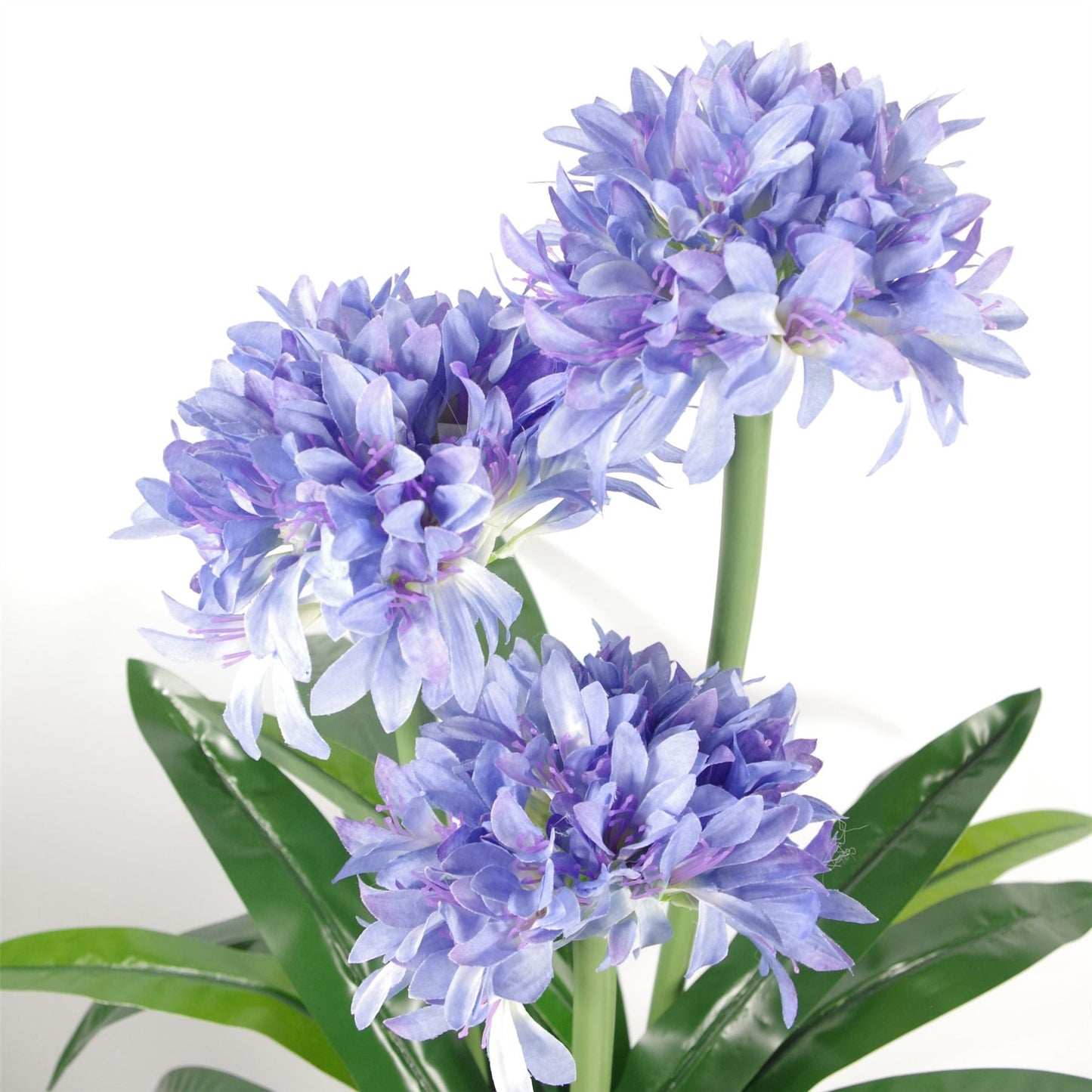 90cm Luxe Blue Agapanthus - Realistic Artificial Flower in Weighted Pot - plants - express.com