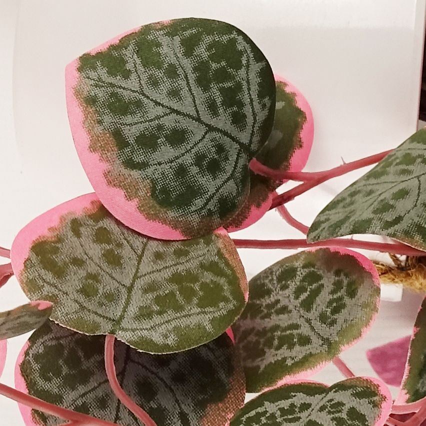 90cm Realistic Trailing Pink String of Hearts in Decorative Hanging Pot - plants - express.com