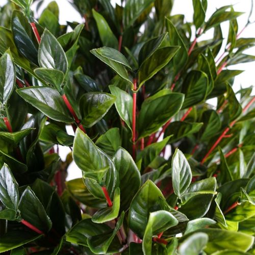 90cm UV Resistant Gloxinia Single Ball Topiary with 1608 Leaves and Natural Trunk - plants - express.com