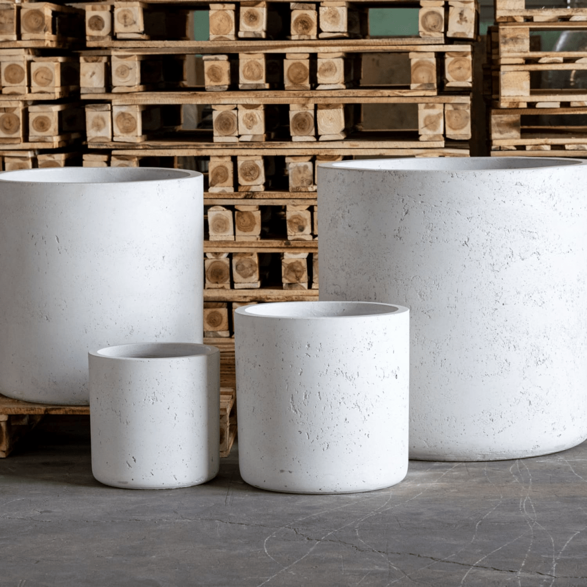 Aurella XXL White Mist Concrete Cylinder Planter – 621L for Bold Planting - plants - express.com