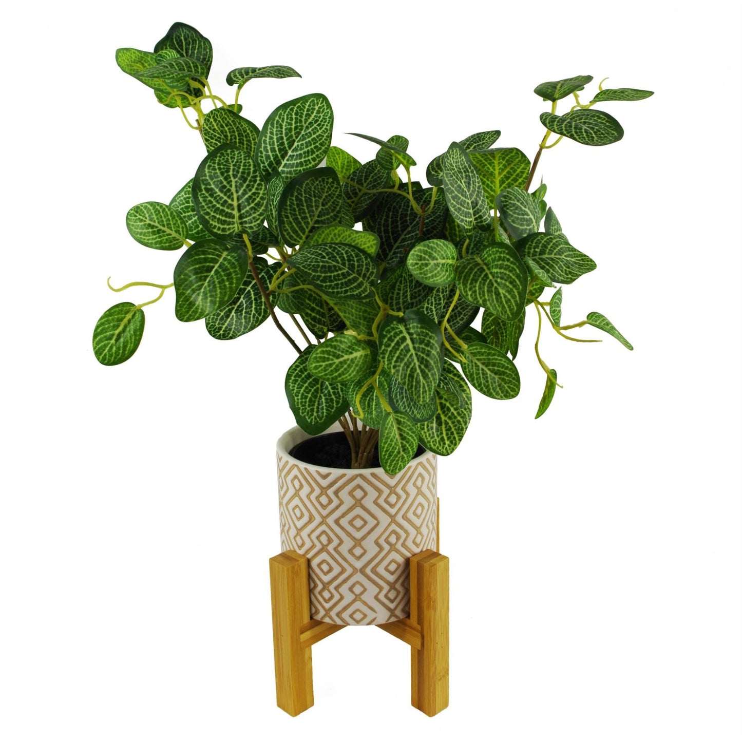 Charming 40cm Variegated Pothos Plant - Effortless Greenery for Your Space! - plants - express.com