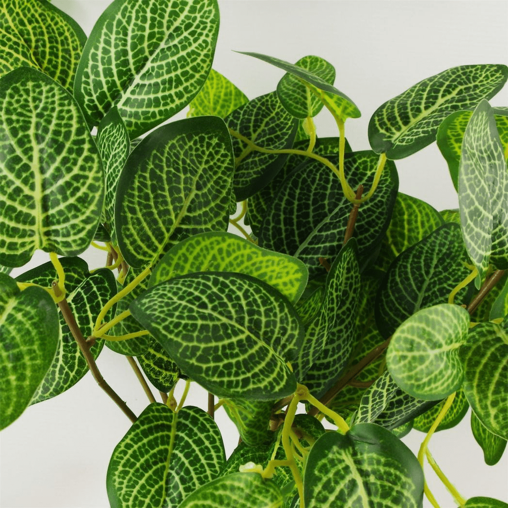 Chic 40cm Artificial Variegated Pothos Plant in Sleek Black Pot - plants - express.com