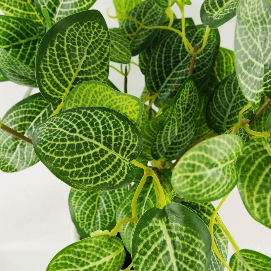 Chic 40cm Artificial Variegated Pothos Plant in Sleek Black Pot - plants - express.com
