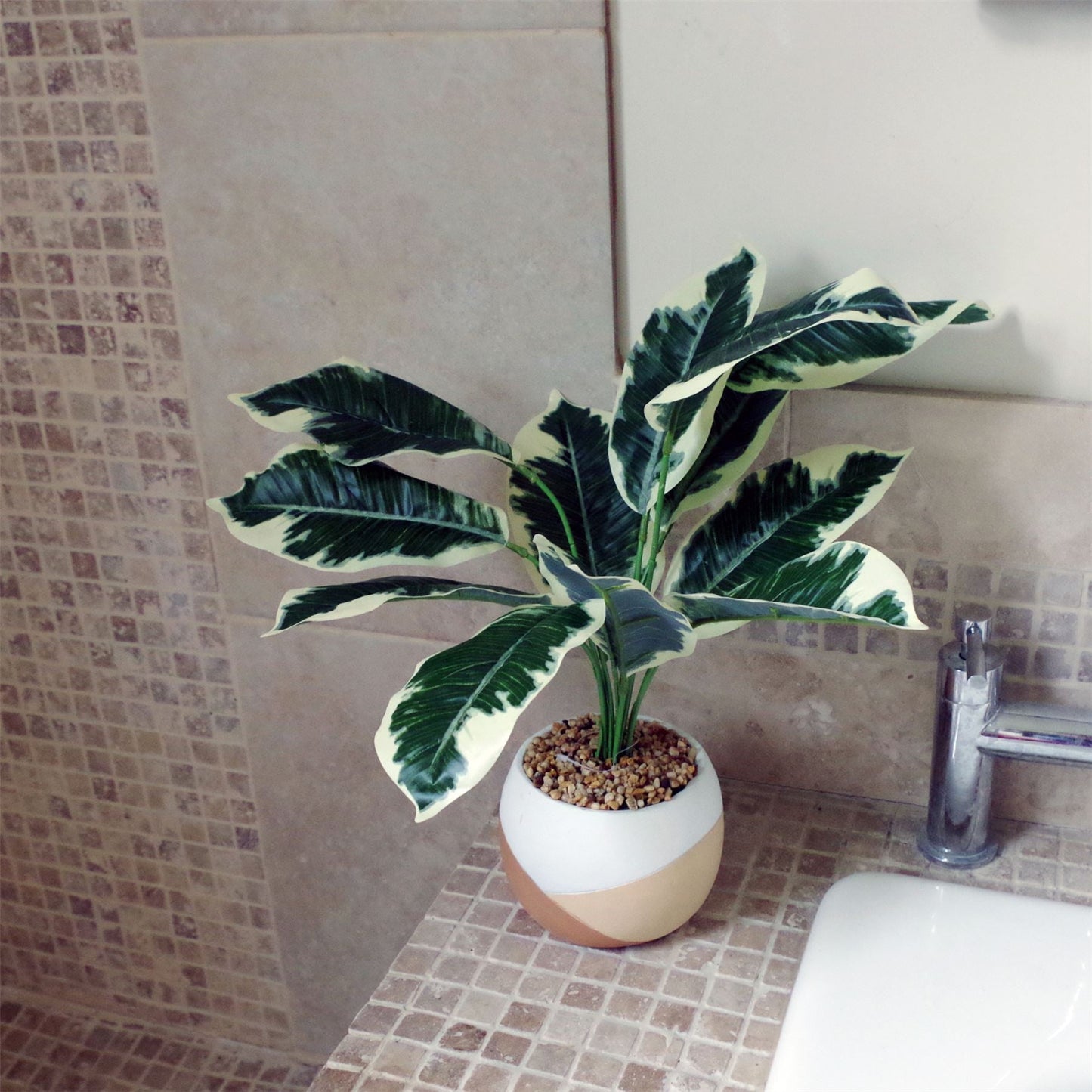 Chic 40cm Variegated Pothos Plant in Stylish Cement Planter – Low Maintenance Decor - plants - express.com