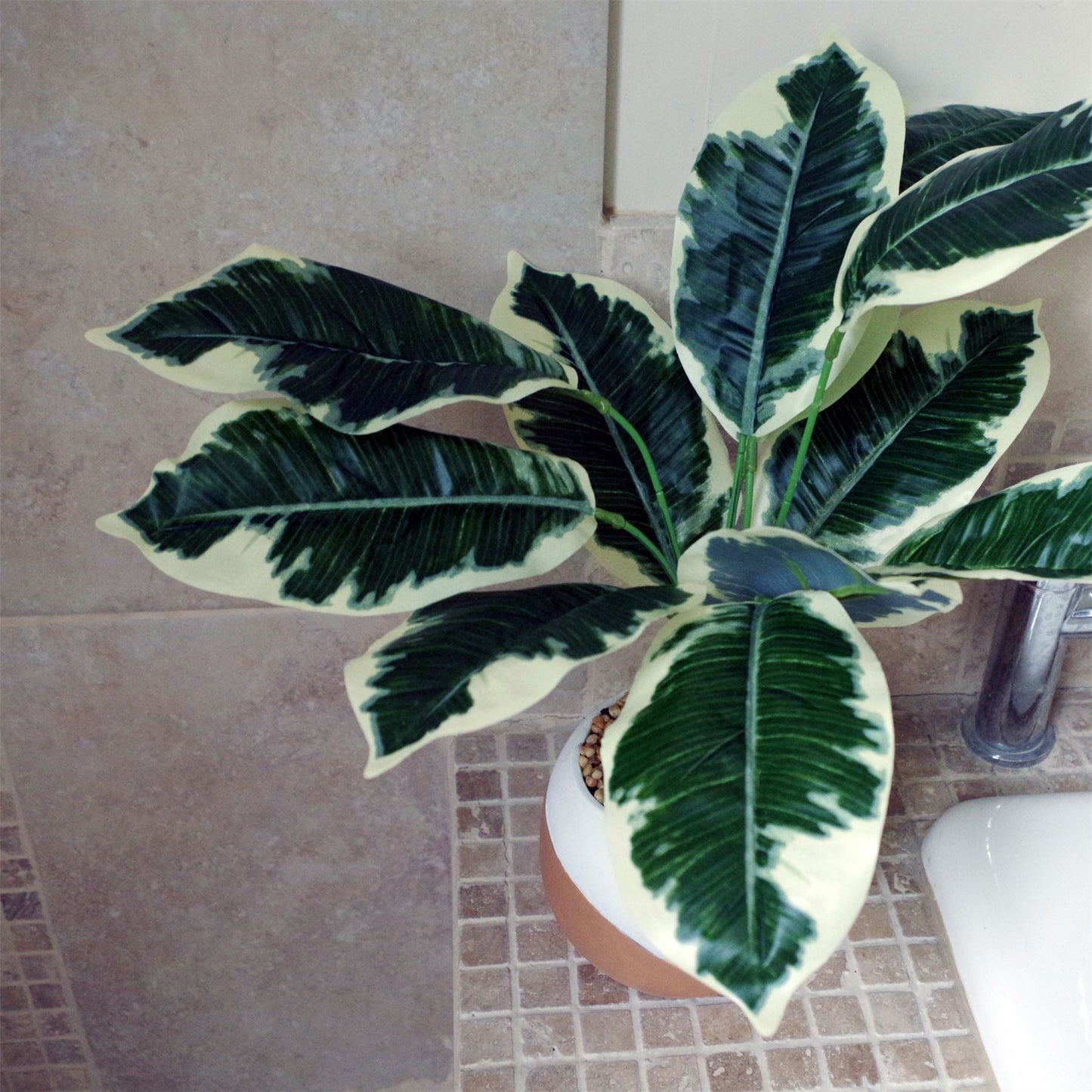 Chic 40cm Variegated Pothos Plant in Stylish Cement Planter – Low Maintenance Decor - plants - express.com