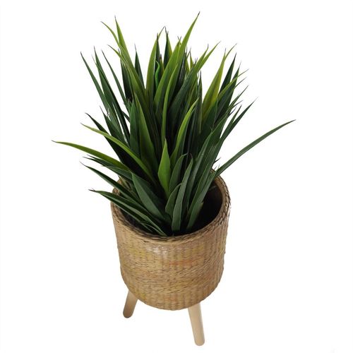 Chic 54cm Rattan - Effect Fiberglass Planter – Stylish & Waterproof Design! - plants - express.com