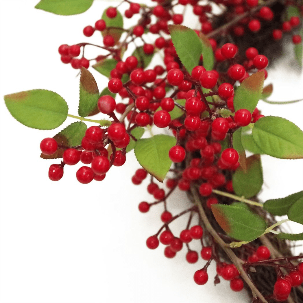 Deluxe 24 - Inch Red Berry Christmas Wreath - Lush Natural Elegance! - plants - express.com