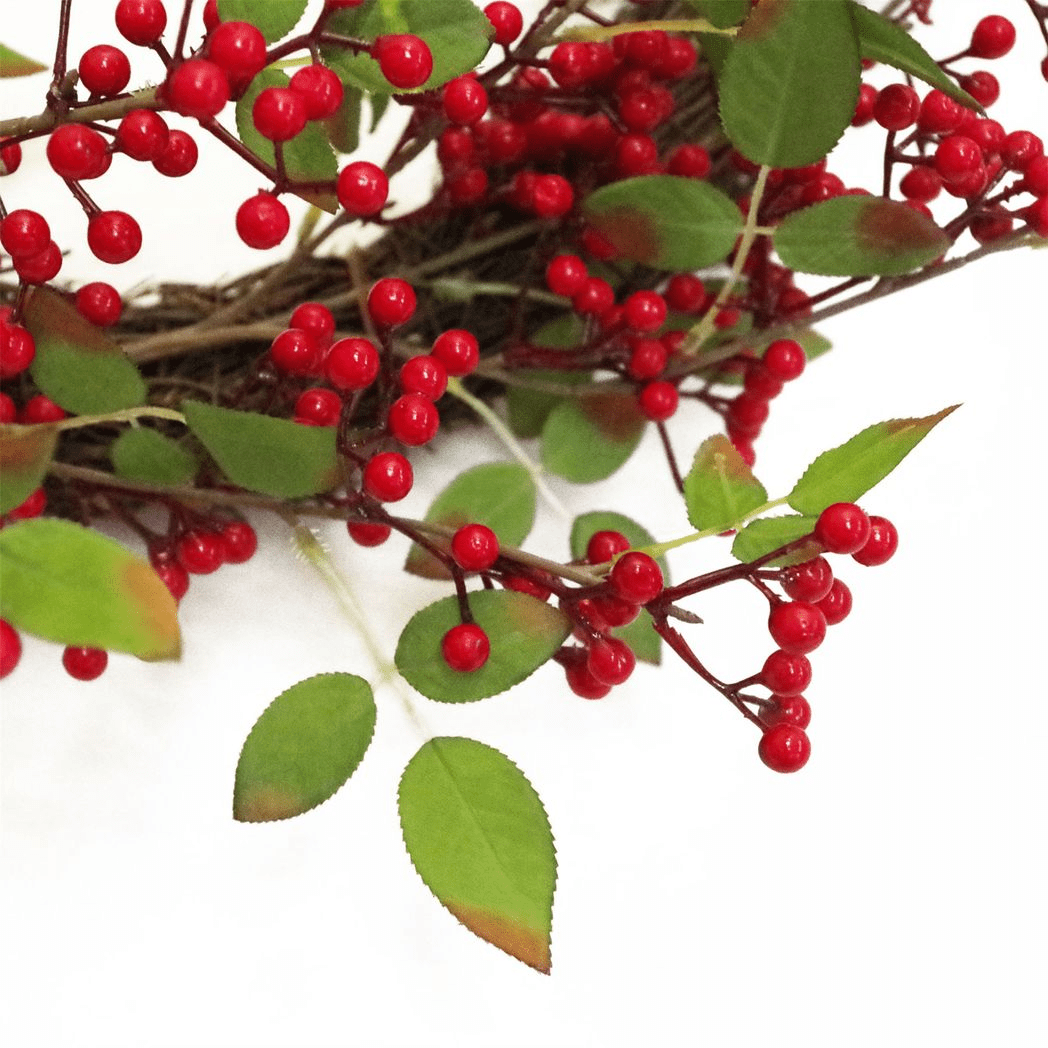 Deluxe 24 - Inch Red Berry Christmas Wreath - Lush Natural Elegance! - plants - express.com