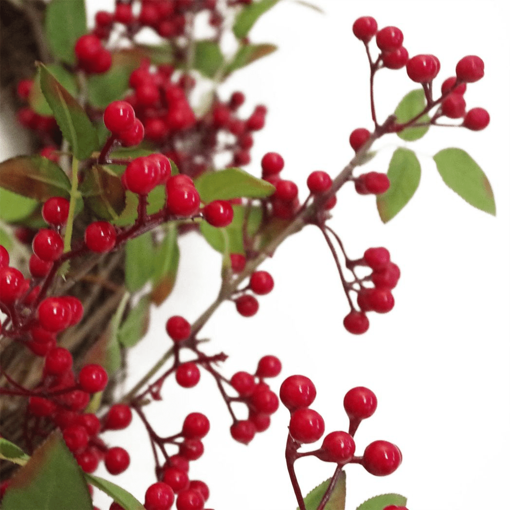 Deluxe 24 - Inch Red Berry Christmas Wreath - Lush Natural Elegance! - plants - express.com