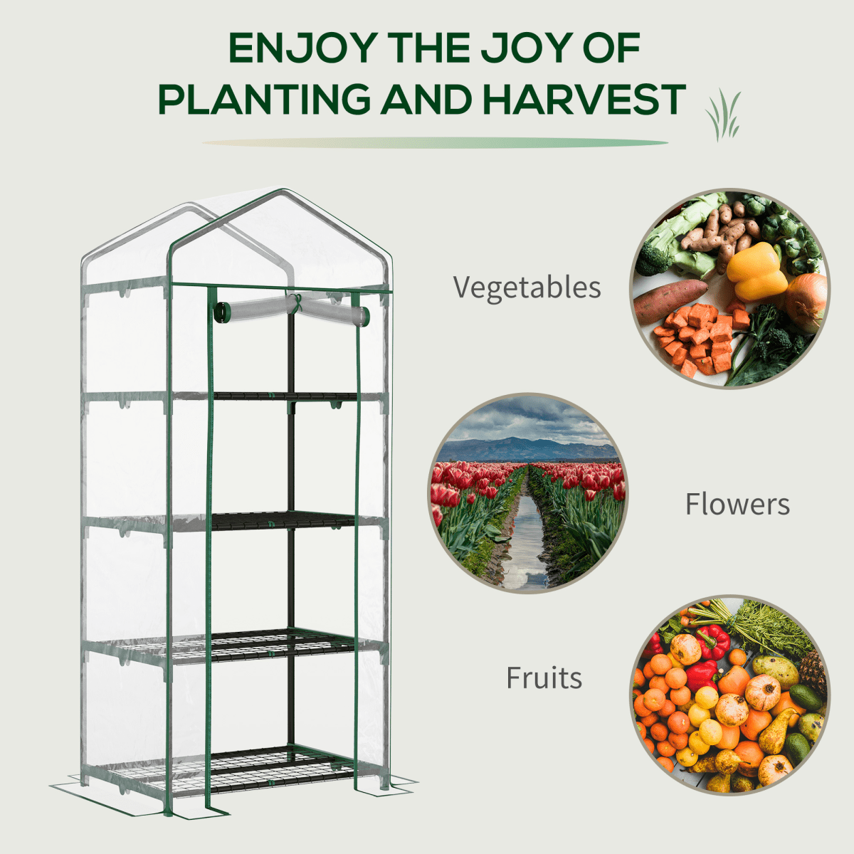Durable Mini Greenhouse with 4 Shelves - Perfect for Hobby Gardeners! - plants - express.com