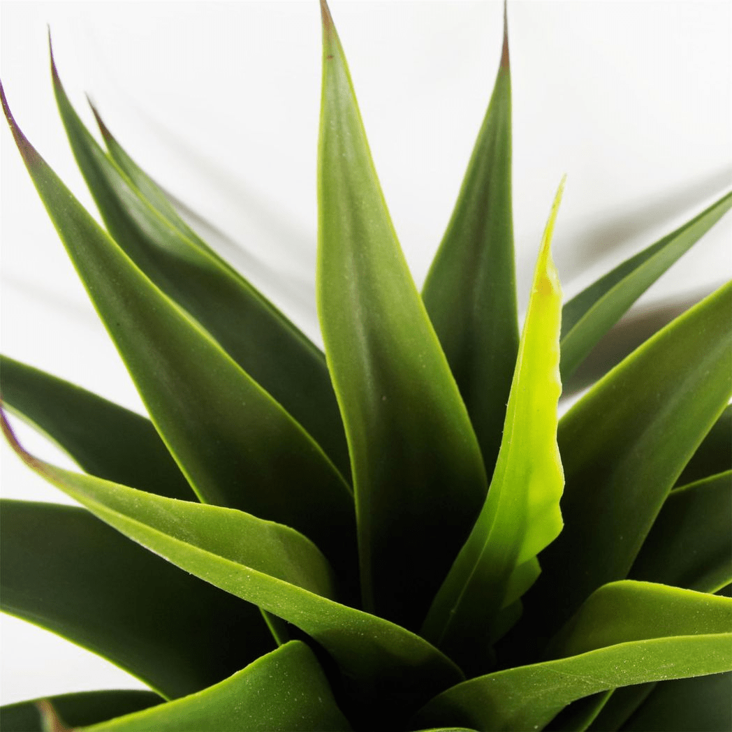 Elegance Unleashed: 55cm Lifelike Artificial Yucca Plant for Stunning Decor - plants - express.com