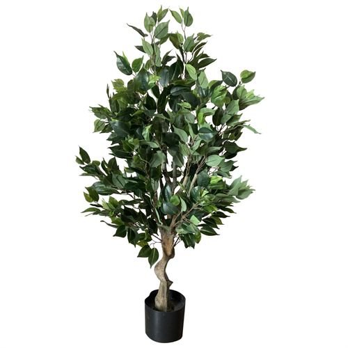 Elegant 100cm Ficus Twist Tree with Silver Decorative Planter - Premium Appeal - plants - express.com