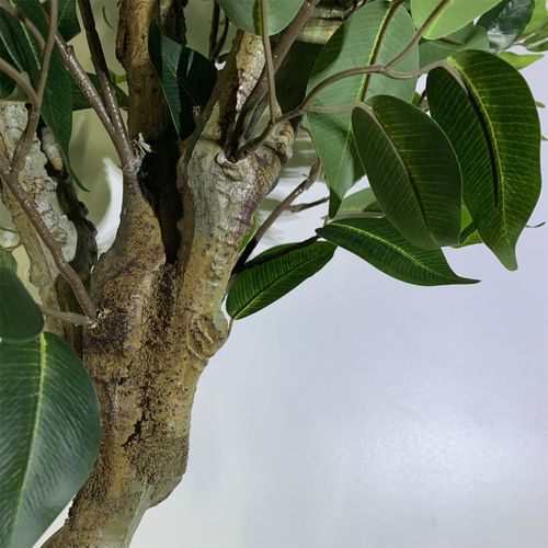 Elegant 100cm Ficus Twist Tree with Silver Decorative Planter - Premium Appeal - plants - express.com