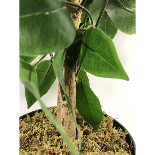 Elegant 120cm Artificial Ficus Tree - Lifelike Indoor Decor Masterpiece - plants - express.com