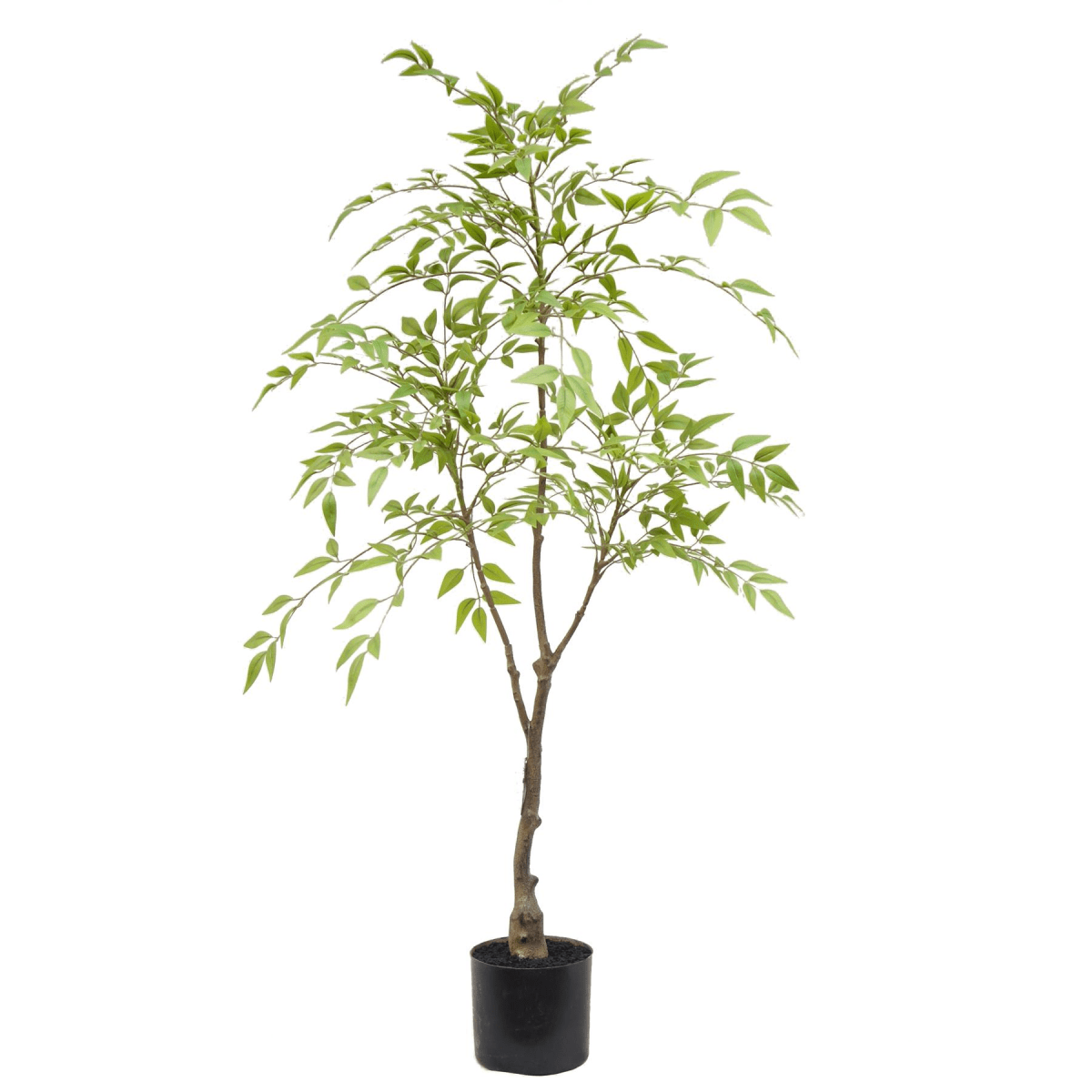 Elegant 120cm Nandina Artificial Tree - Year - Round Natural Beauty - plants - express.com