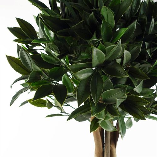 Elegant 120cm UV Resistant Bay Tree Topiary for Outdoor Spaces - plants - express.com