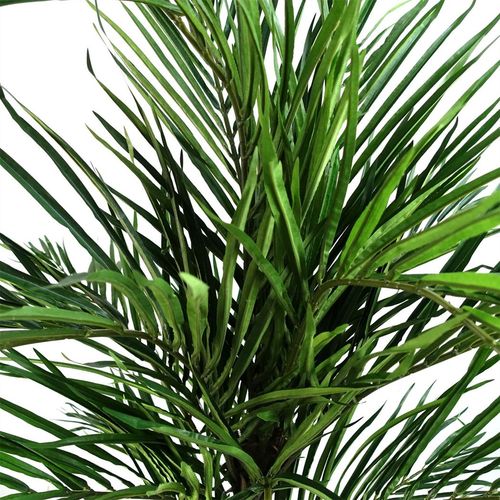 Elegant 130cm Artificial Areca Palm Tree - Luxe Silk Leaves & Customizable Design - plants - express.com