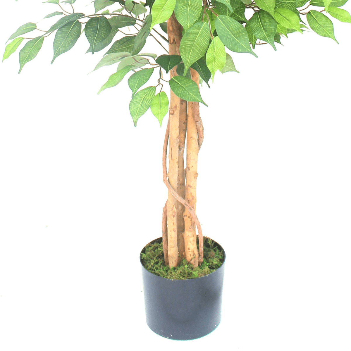 Elegant 150cm Artificial Ficus Tree - Lifelike Décor for Any Space - plants - express.com
