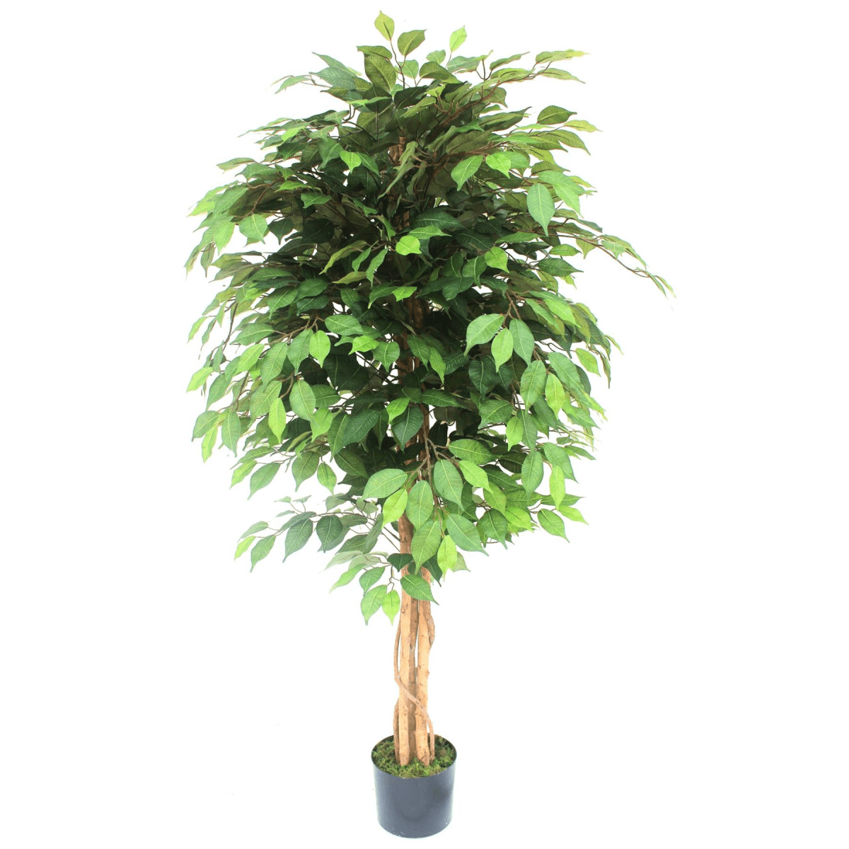 Elegant 150cm Artificial Ficus Tree - Lifelike Décor for Any Space - plants - express.com