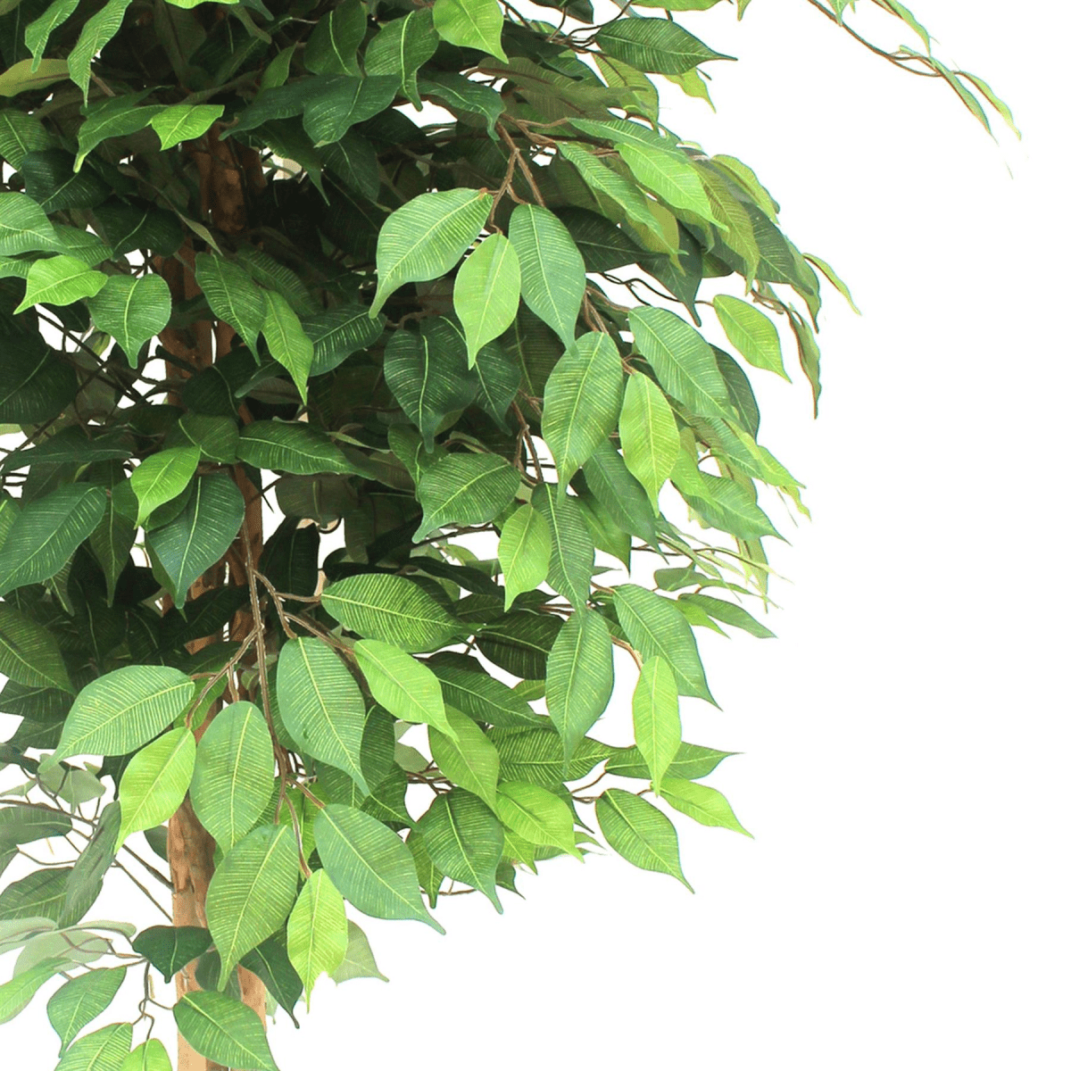 Elegant 150cm Artificial Ficus Tree - Lifelike Décor for Any Space - plants - express.com